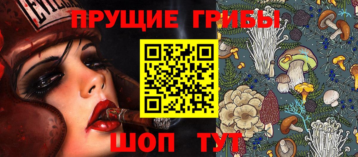 Галлюциногенные грибы Cubensis Кыштым